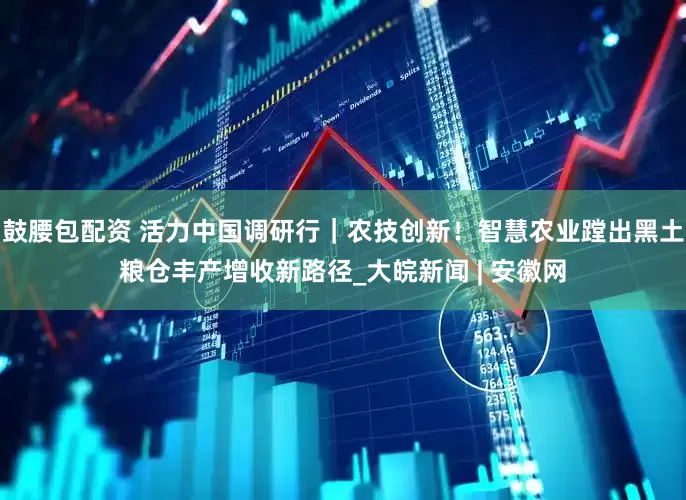 鼓腰包配资 活力中国调研行｜农技创新！智慧农业蹚出黑土粮仓丰产增收新路径_大皖新闻 | 安徽网