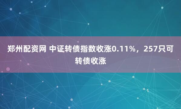 郑州配资网 中证转债指数收涨0.11%，257只可转债收涨