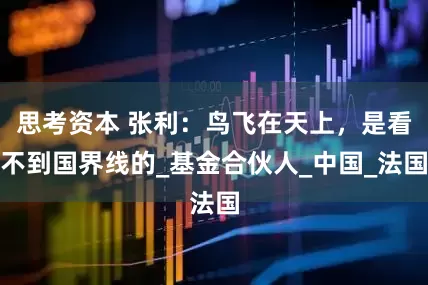 思考资本 张利:鸟飞在天上,是看不到国界线的_基金合伙人_中国_法国