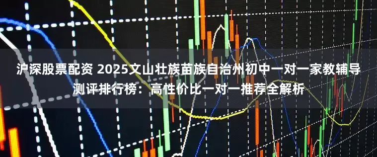 沪深股票配资 2025文山壮族苗族自治州初中一对一家教辅导测评排行榜：高性价比一对一推荐全解析